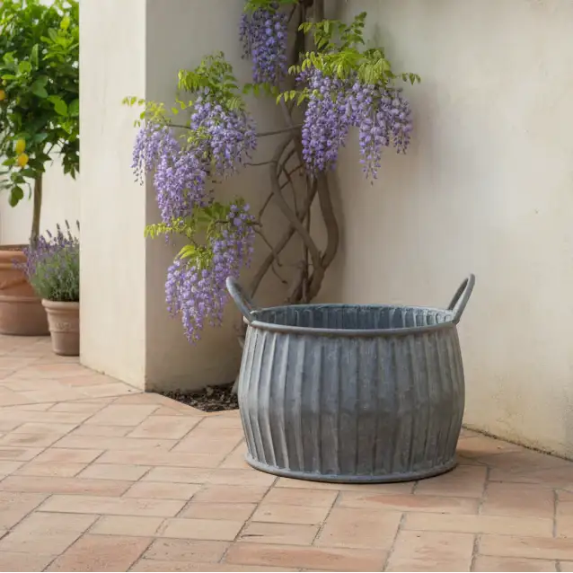 Decorative gray planter with wisteria plant against a beige wall on a patio.