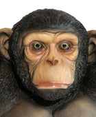 Mike Monkey Side Table 5