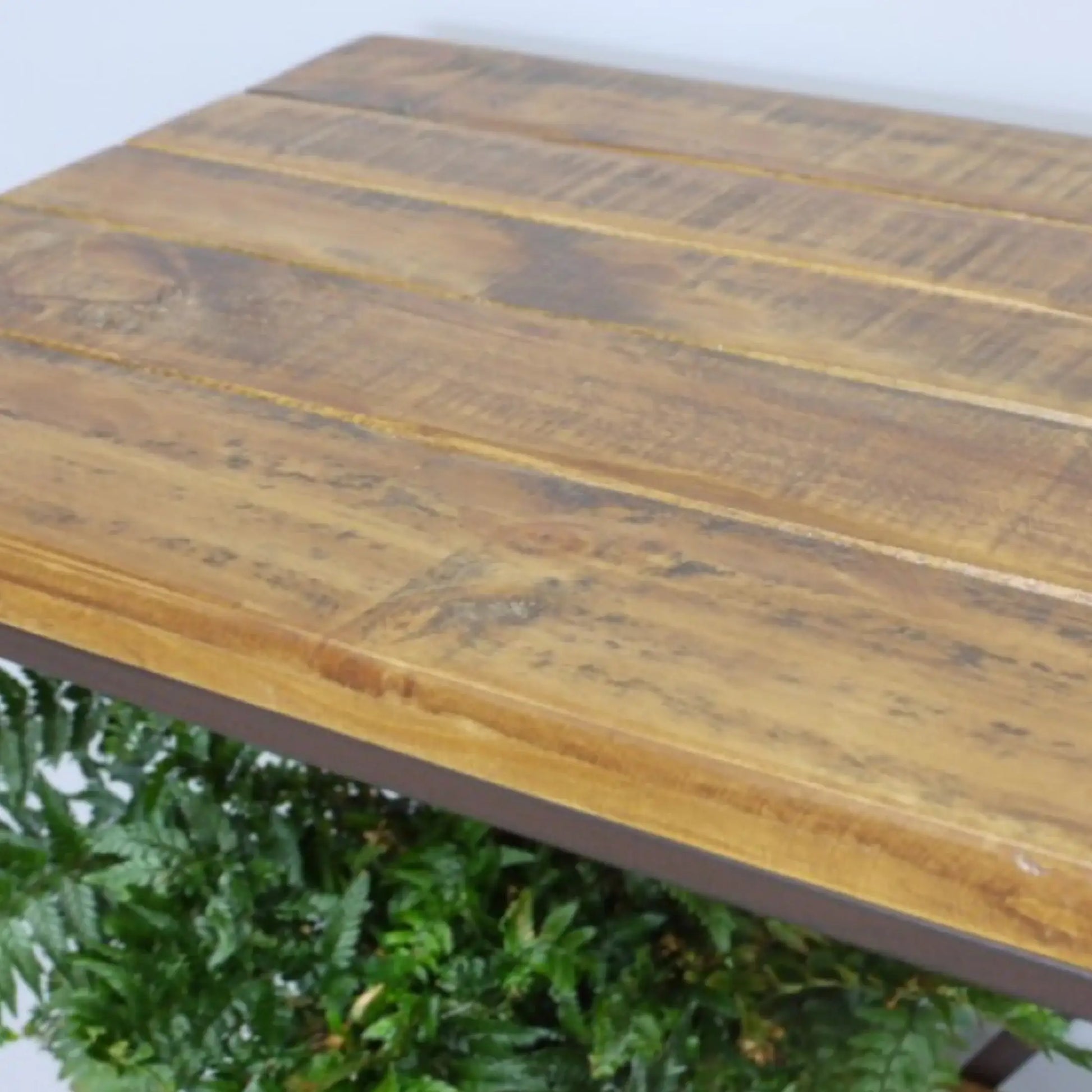 Wooden table with a plant in the foreground