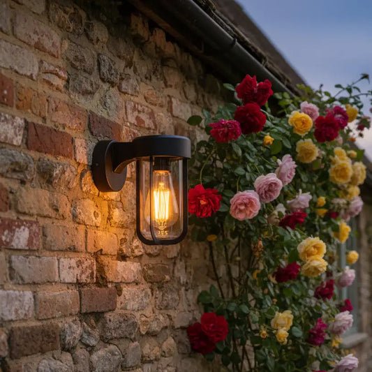 Walls of a building with a wall light fixture and flowers.