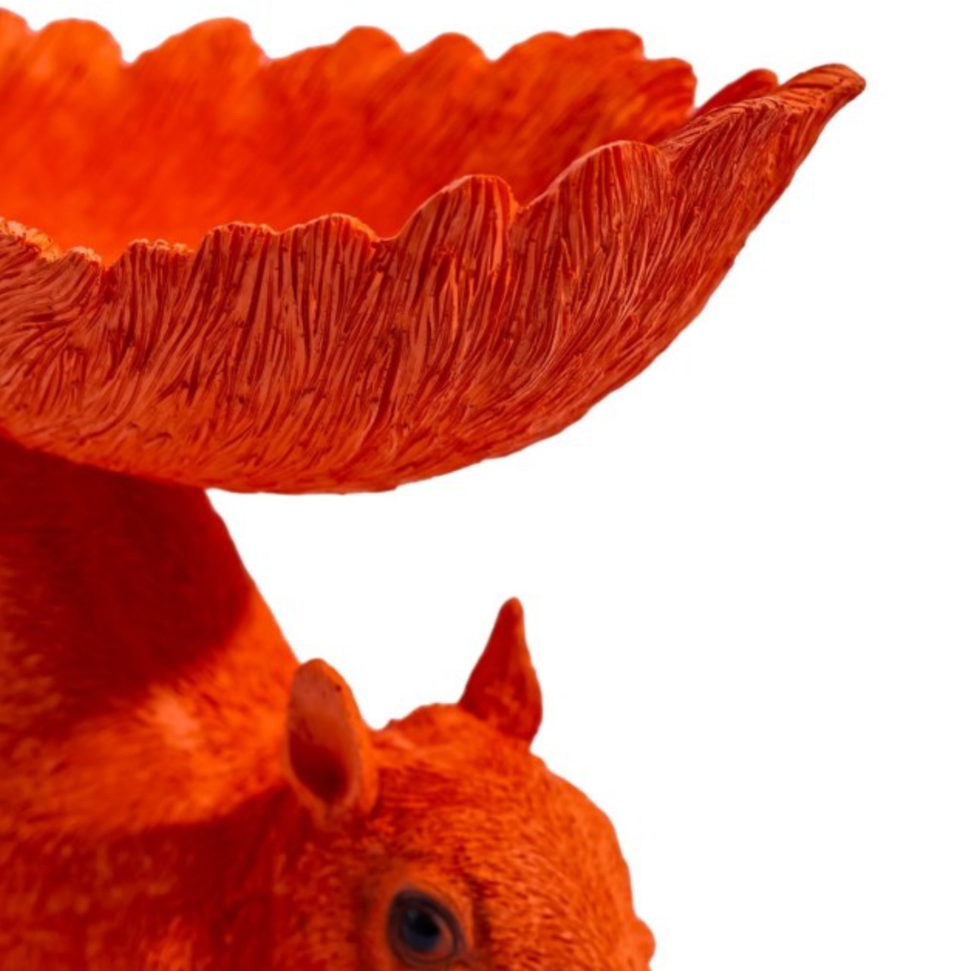 Orange squirrel with a large orange bowl on its head against a white background