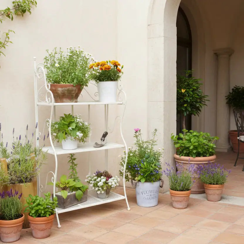 Potted plants on a white metal shelf against a beige wall.