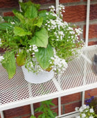 Potted plants on a white metal table against a brick wall