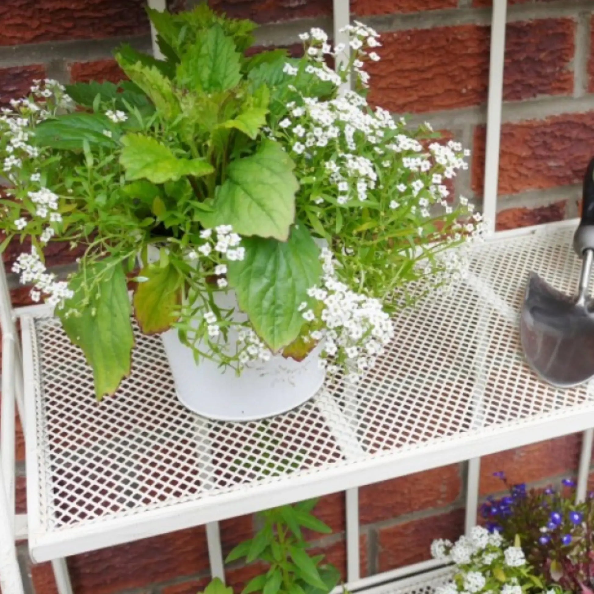 Potted plants on a white metal table against a brick wall