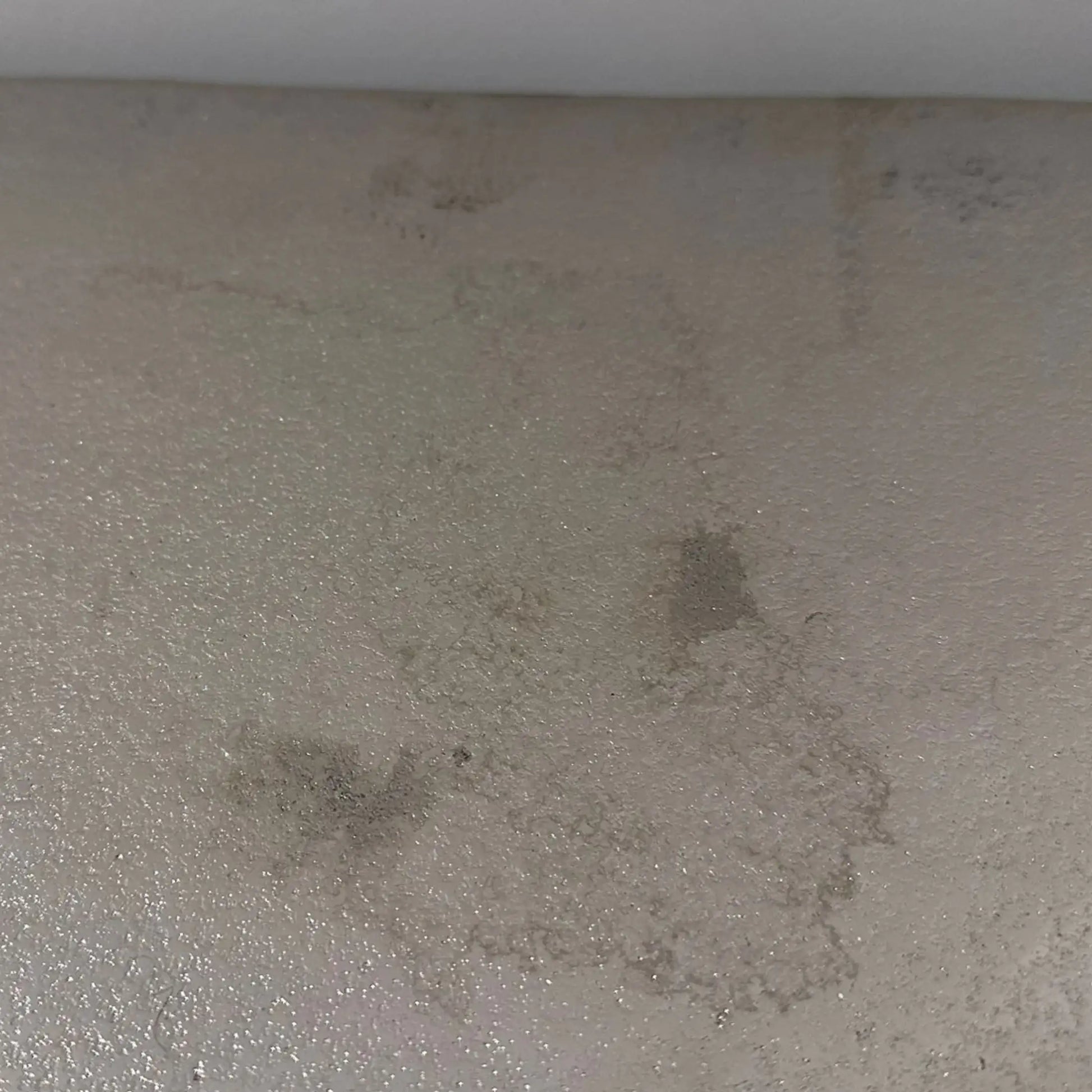 Mold growth on a gray wall