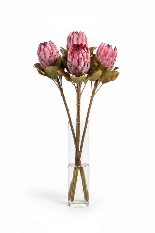 4 Large Protea Stems