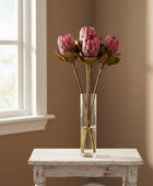 4 Large Protea Stems
