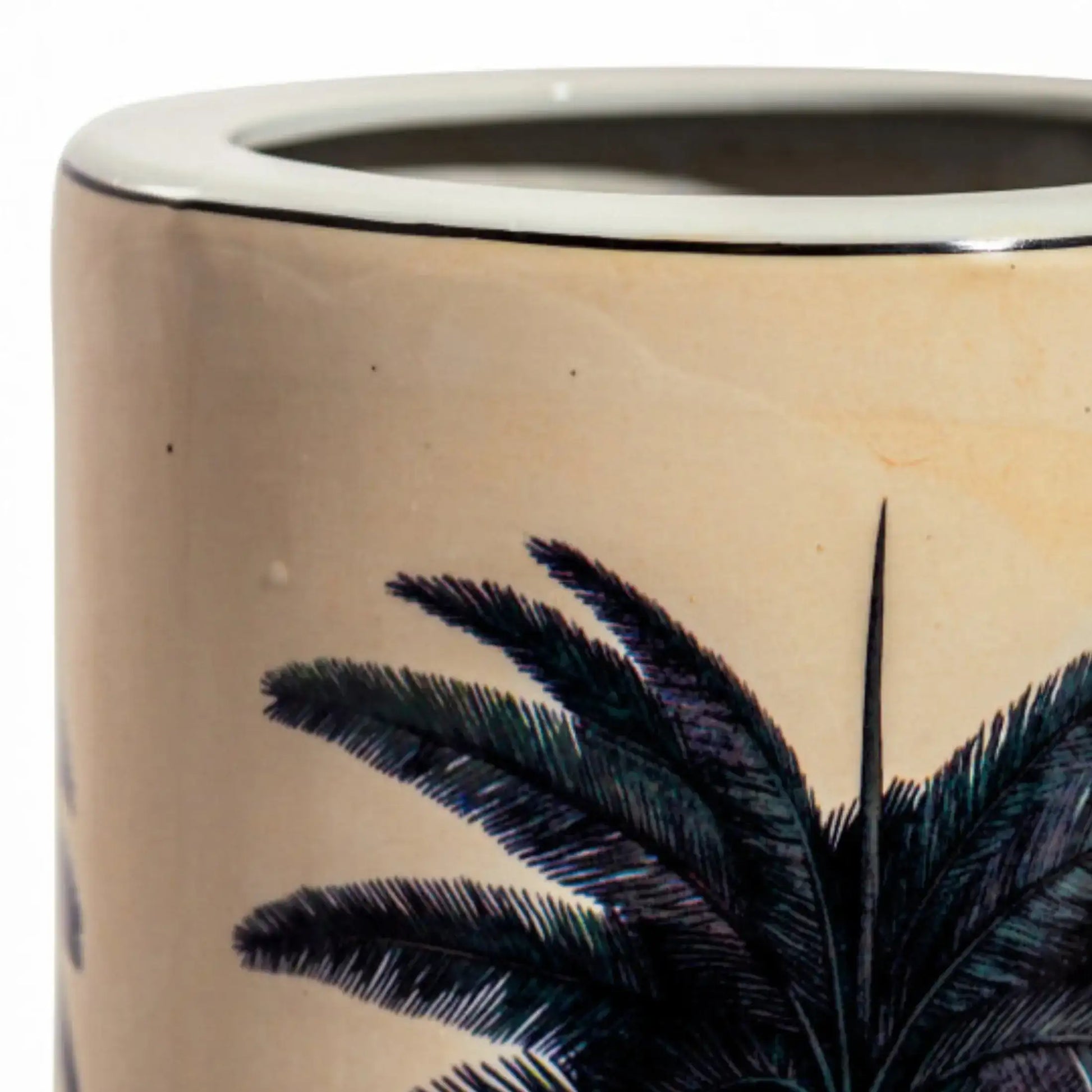 Ceramic planter with palm leaf design on a beige background