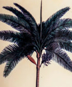 Illustration of a palm tree with detailed leaves on a beige background