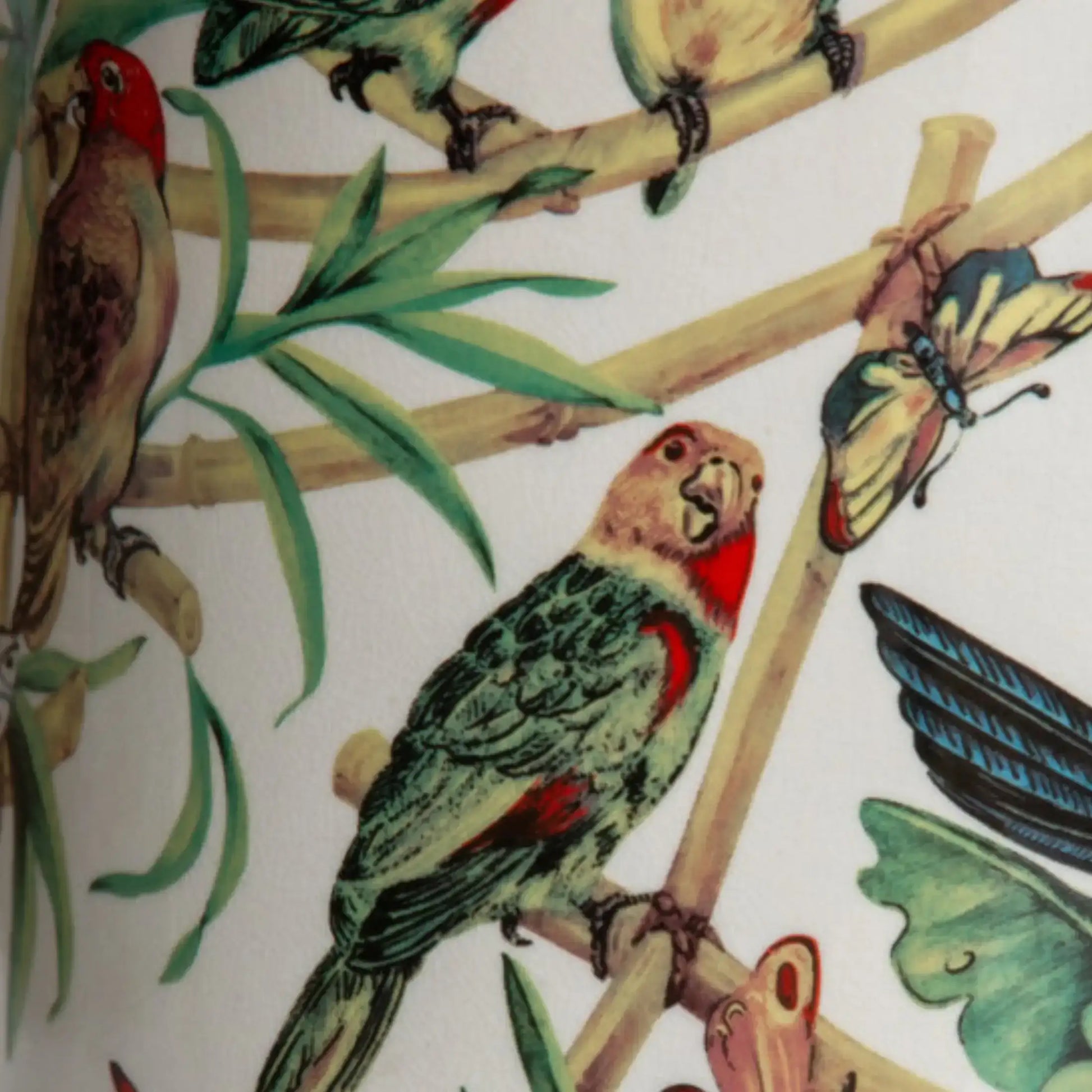 Illustration of birds and butterflies on a branch with leaves