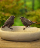 Two small birds perched on a stone bowl with a blurred green background