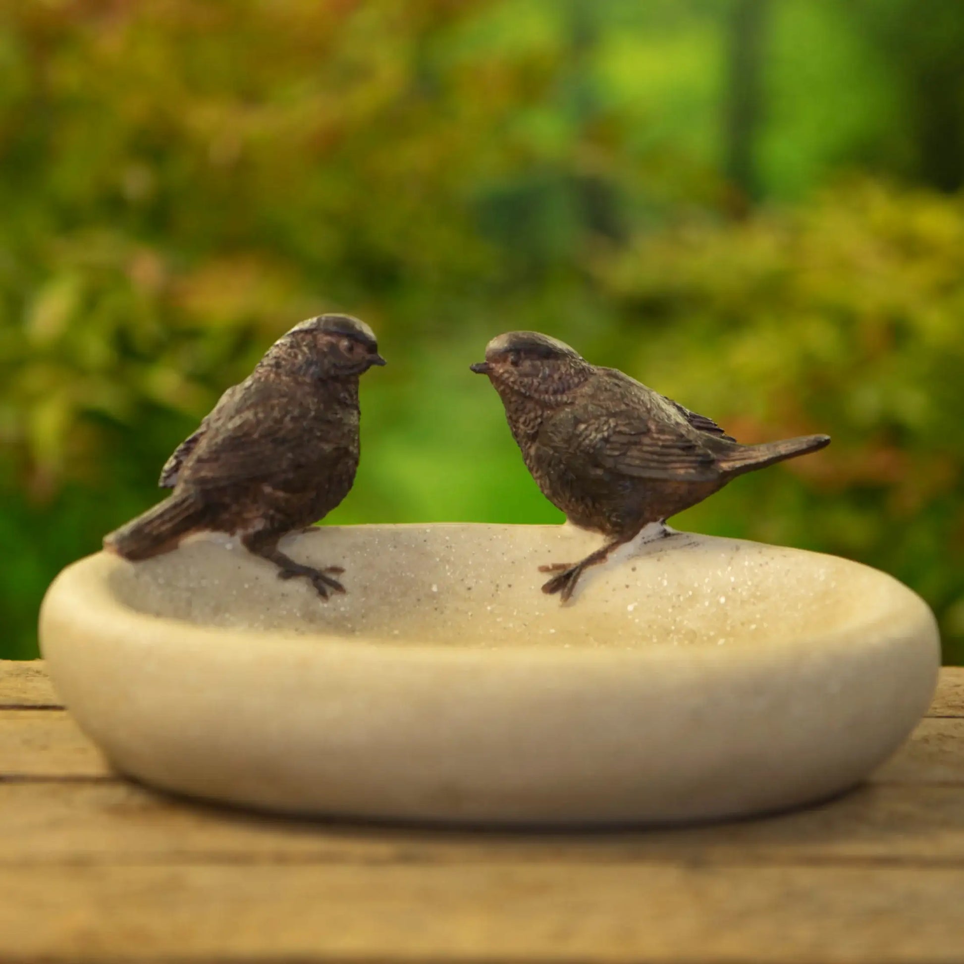 Two small birds perched on a stone bowl with a blurred green background