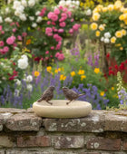 Two birds on a stone ledge with a colorful flower garden in the background