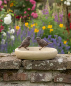 Two birds on a stone bird bath with a garden background