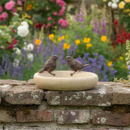 Two birds on a stone bird bath with a garden background