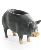 Pig-shaped ceramic planter on a white background