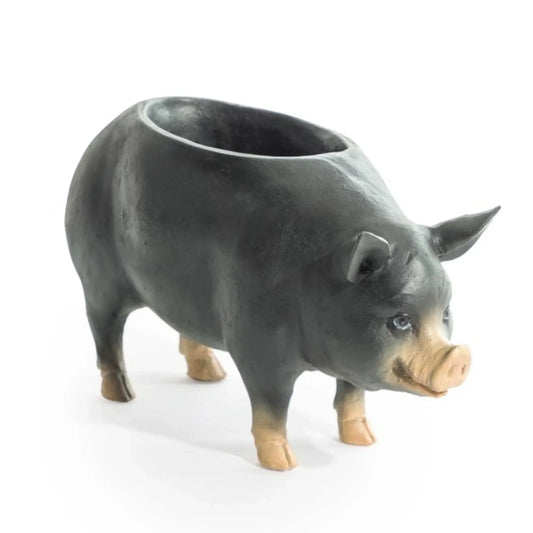 Pig-shaped ceramic planter on a white background