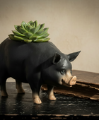 Black pig figurine with a succulent on its back next to an open book on a dark surface.