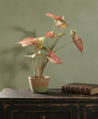 Potted Faux Angle Wings Plant