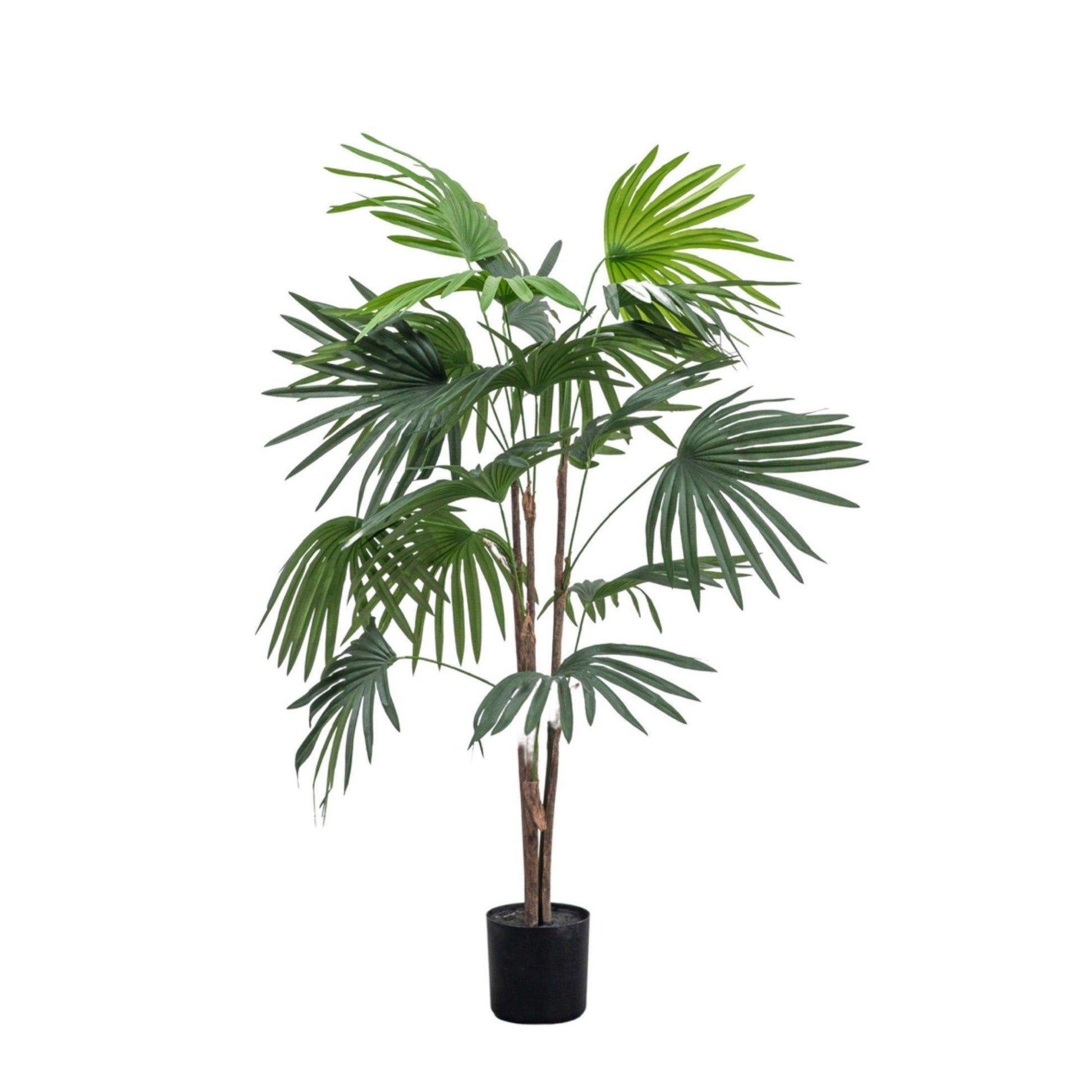 Potted Faux Green Chinese Fan Palm Plant - The Farthing