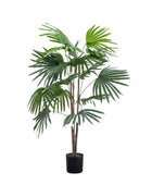 Potted Faux Green Chinese Fan Palm Plant - The Farthing