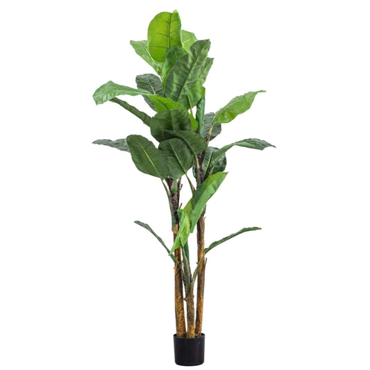 Potted Faux Green Large Banana Palm Plant - The Farthing