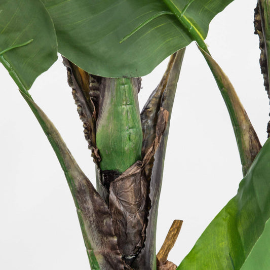 Potted Faux Green Large Banana Palm Plant - The Farthing