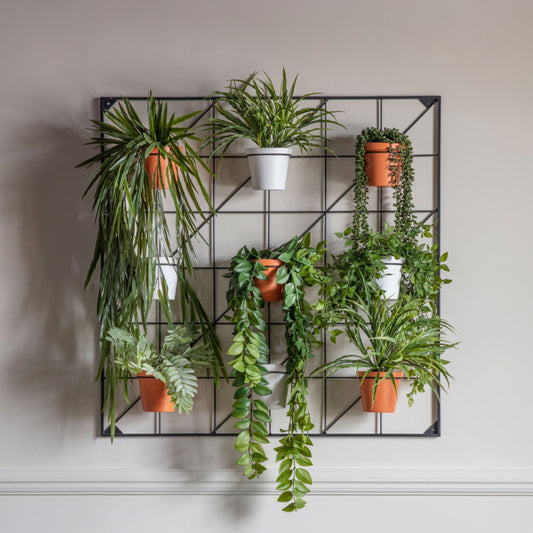 Potted Metal Wall Planter 5