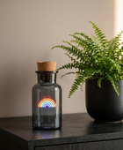 A dark gray glass bottle with a cork stopper and a glowing rainbow light inside, placed on a dark wooden surface next to a potted green fern against a beige wall.