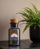 A dark gray glass bottle with a cork stopper and black neck, lit from within by a glowing rainbow. The bottle sits on a dark tabletop next to a potted green fern against a plain beige wall.