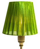 Green pleated lampshade on a white background