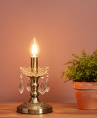 Decorative table lamp with a lit bulb next to a potted plant on a wooden surface.