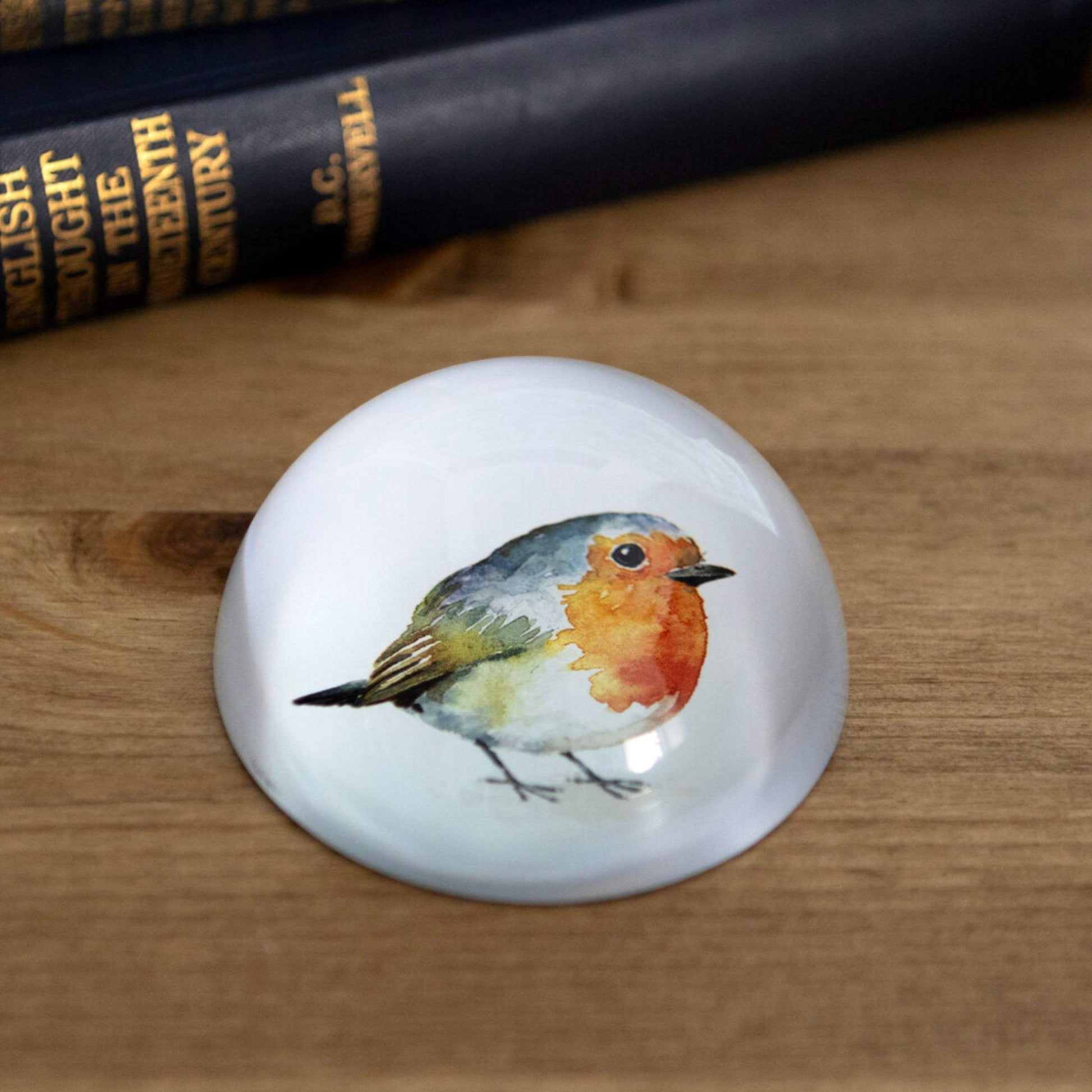 Robin Glass Paperweight - The Farthing