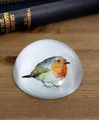 Robin Glass Paperweight - The Farthing