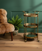 Gold bar cart next to a fur chair and potted plant against a green wall.