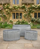 Decorative garden with stone patio, potted plants, and a house with floral climbing plants.