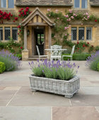 Wide Rectangular Rattan Trough Planter with Metal Insert