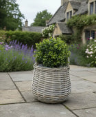 Potted plant in a wicker basket on a stone patio with a garden and house in the background