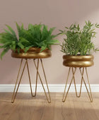 Two potted plants on gold stands against a pink wall.