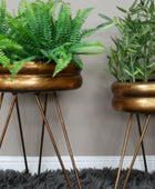 Two potted plants on metallic stands against a plain wall.