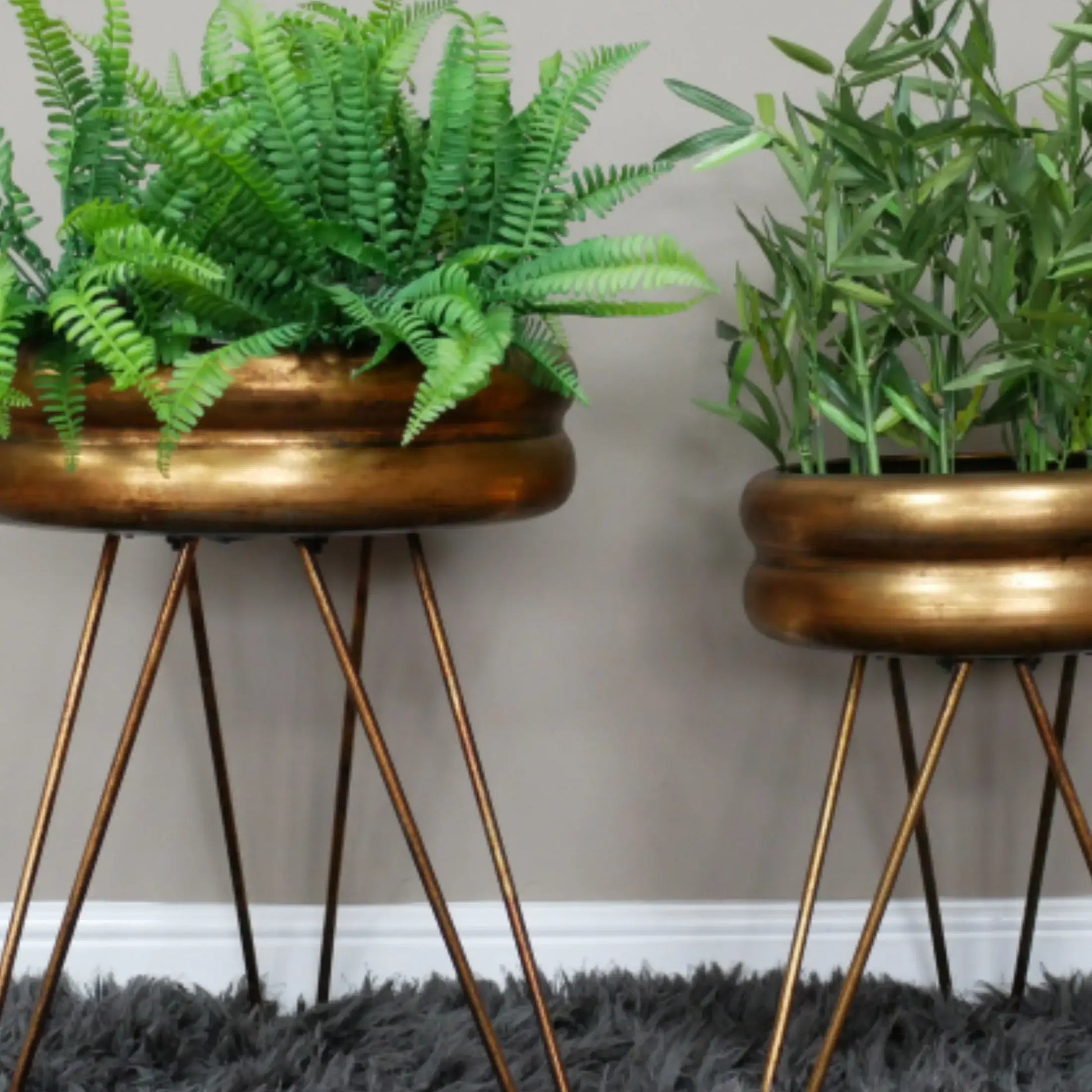 Two potted plants on metallic stands against a plain wall.