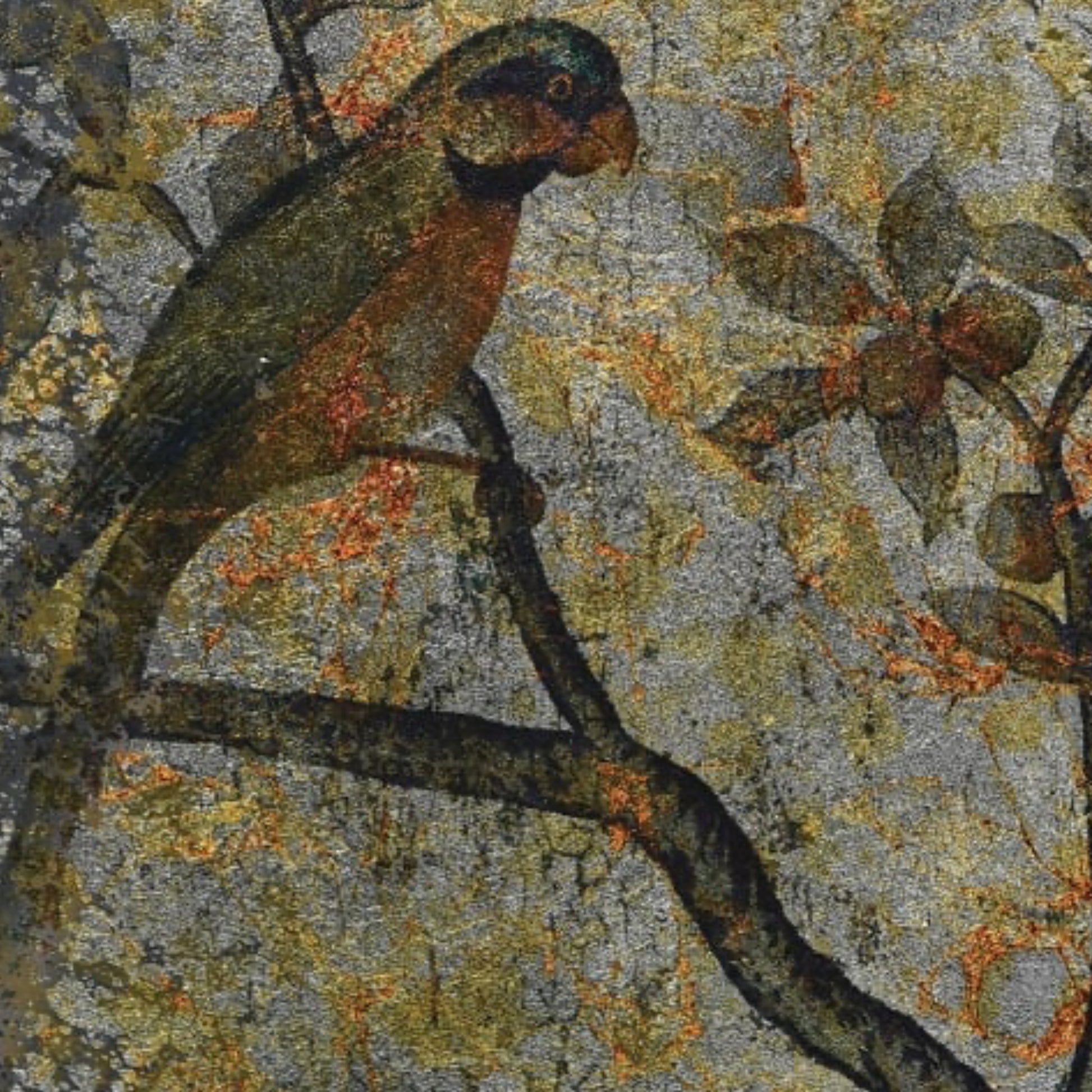 Parrot on a branch with a naturalistic background