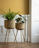 Two gold geometric planters with plants on a wooden floor.