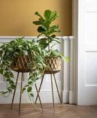 Two potted plants on a gold stand against a white wall with a yellow accent.
