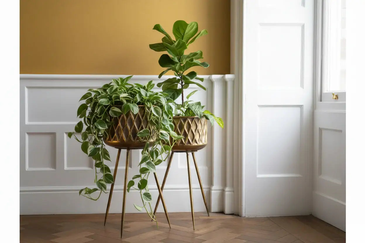 Two potted plants on a gold stand against a white wall with a yellow accent.