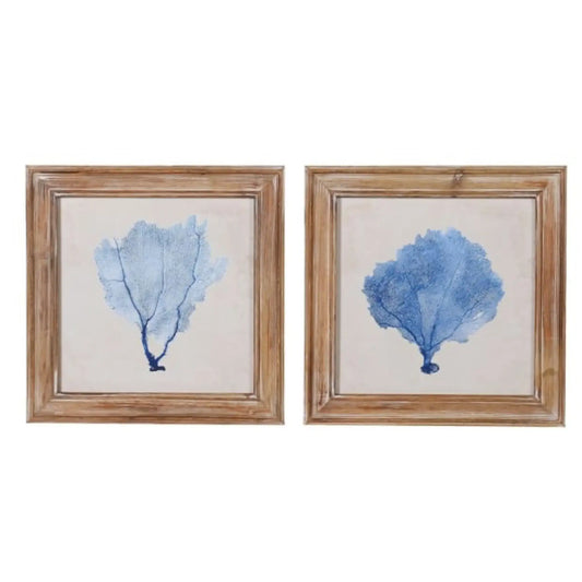 Vintage Framed Coral Illustrations - set of two