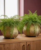 Gold leaf-patterned vases with green plants on a marble surface