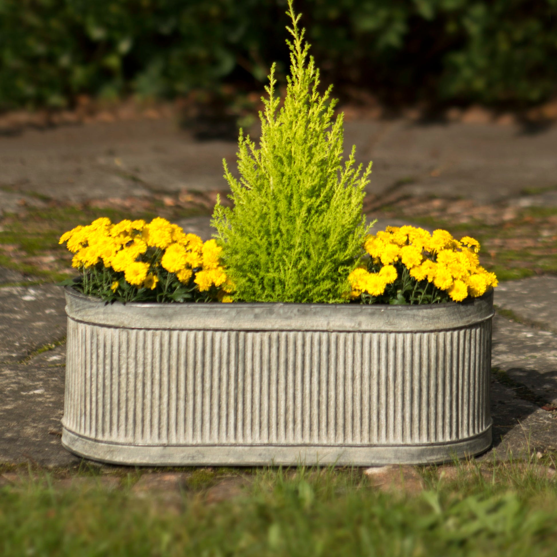 Metal planter with yellow flowers and a green shrub on a stone surface.