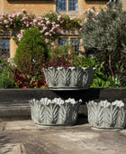 Three decorative stone planters with leaf-like patterns on a wooden surface.