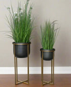 Two potted plants on stands against a plain wall.